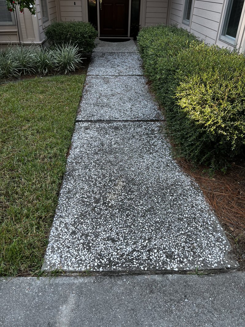 Coated walkway in Savannah, GA